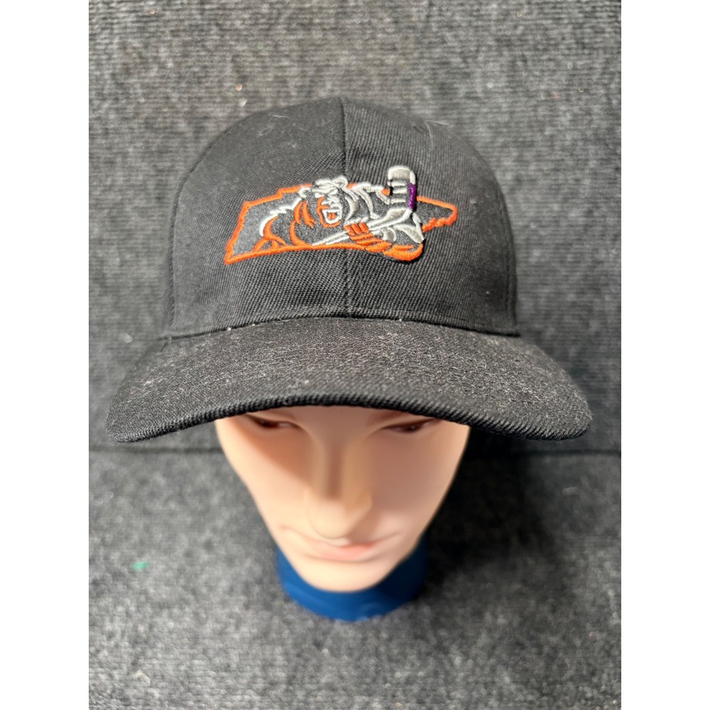 Knoxville Ice Bears Hockey Hat Black APC Tennessee SPHL Adjustable Cap 3246